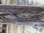 Bubblegum Worms - 18 inch (Novelty)